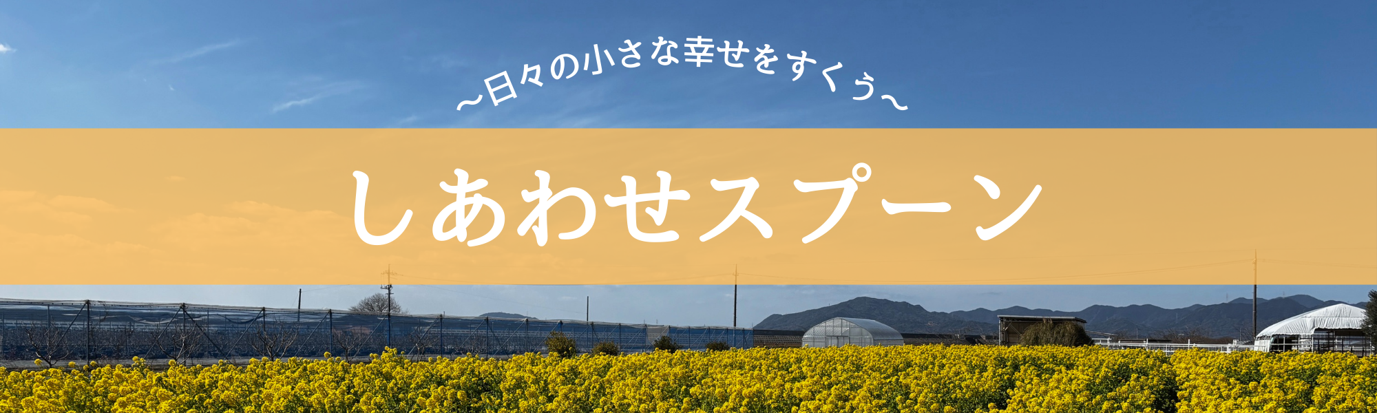 しあわせスプーン｜日々の小さな幸せをすくう